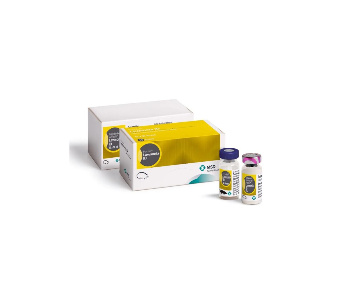 Porcilis® Lawsonia ID - CYCON Animal Health